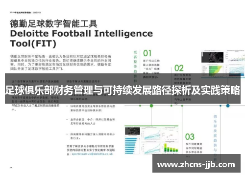 足球俱乐部财务管理与可持续发展路径探析及实践策略 足球俱乐部财务管理与可持续发展路径探析及实践策略